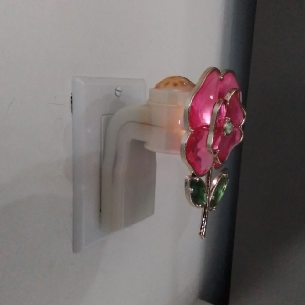 FLOWER PLUG-IN - Picture 2 of 3